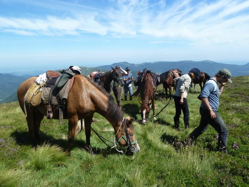 Des chevaux avec les instructeurs pendant une colonie de vacances équation