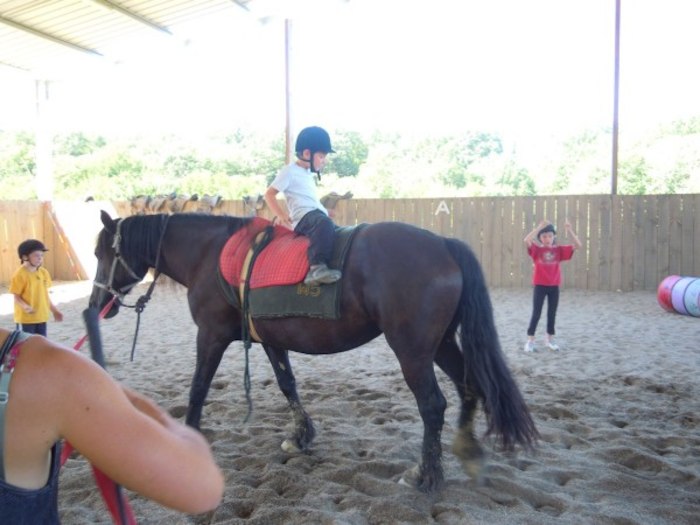 Un enfant montant un cheval à l'envers pendant une colonie de vacances équitation