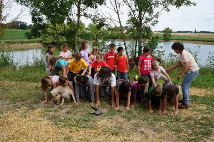 Un groupe faisant un jeu pendant une colonie de vacances équitation