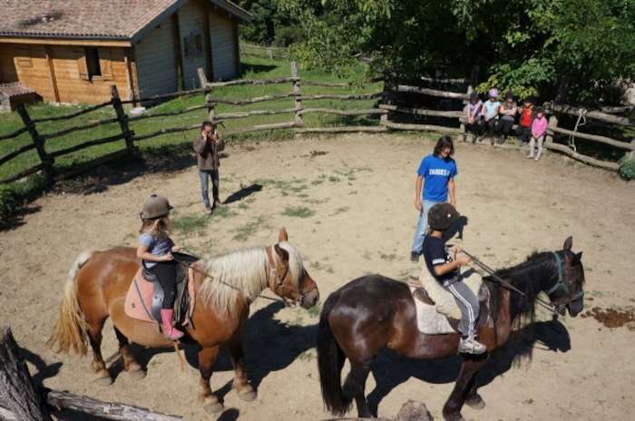 Comment monter un cheval poney Treking drôle Équitation Filles Enfants T Shirt 