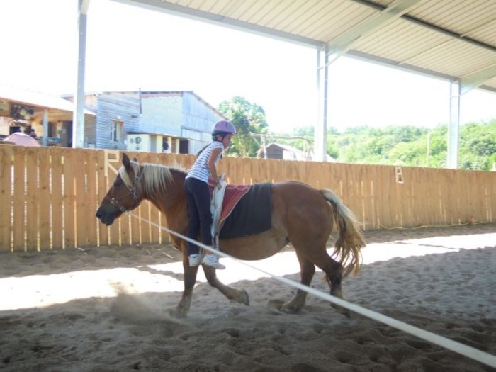 Fille assise à l'envers sur la selle du cheval 