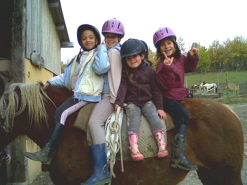 Plusieurs enfants sur un cheval pendant une colonie de vacances équitation