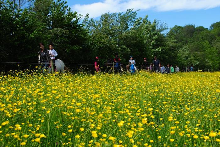 Les enfants se baladent à cheval dans les champs autour de la colonie de vacances