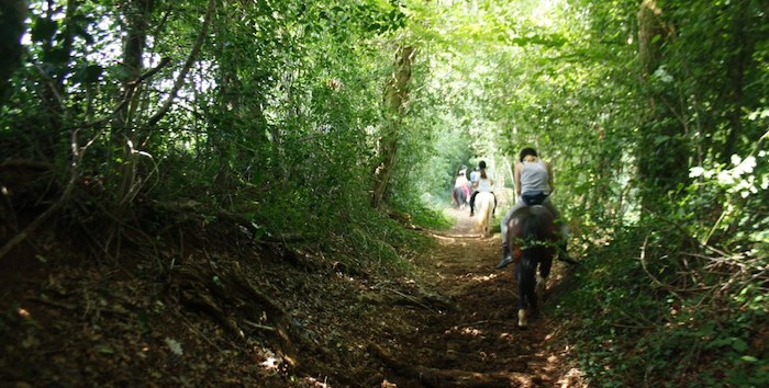 Balade en forêt à cheval lors de la colonie de vacances