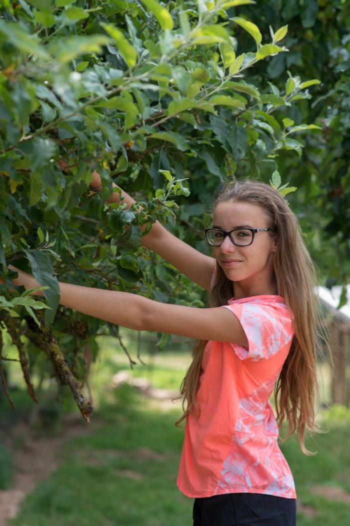 Une jeune fille cueille des fruits de la ferme de la colonie de vacances