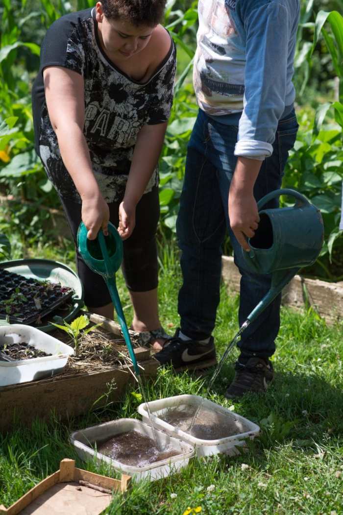Deux jeunes arrosent les plantes dans le jardin de la colonie de vacances