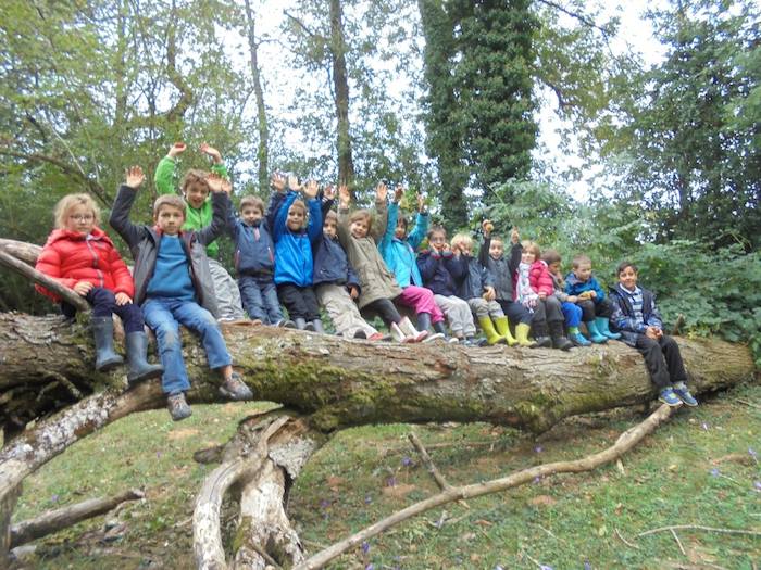 Groupe d'enfant assis sur un tronc d'arbre