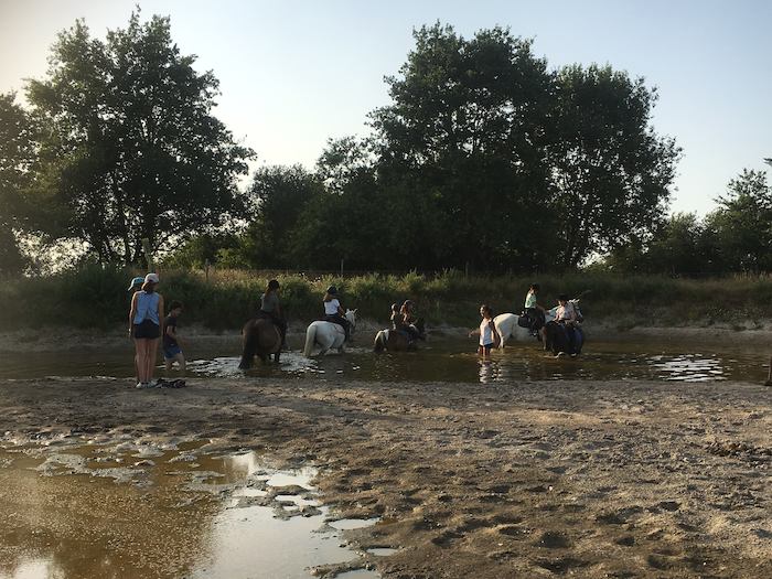 Les chevaux traversent la rivière lors d'une colonie de vacances d'équitation