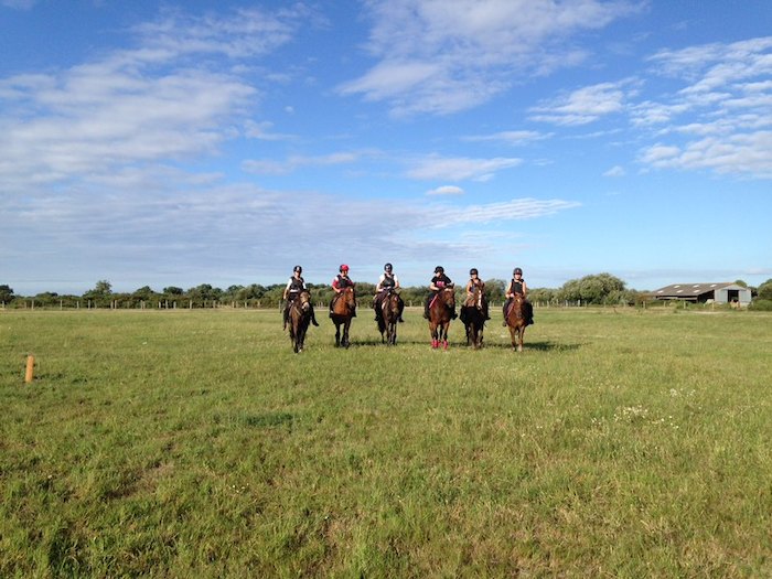 Cinq chevaux et leurs cavaliers sont alignés dans l'herbe lors d'une colonie de vacances d'équitation