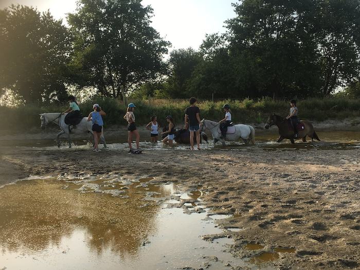 Les chevaux et les jeunes sortent de la rivière lors d'une colonie de vacances d'équitation