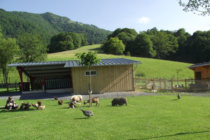 Des animaux au milieu de la ferme lors d'une colonie de vacances en Hautes-Pyrénées