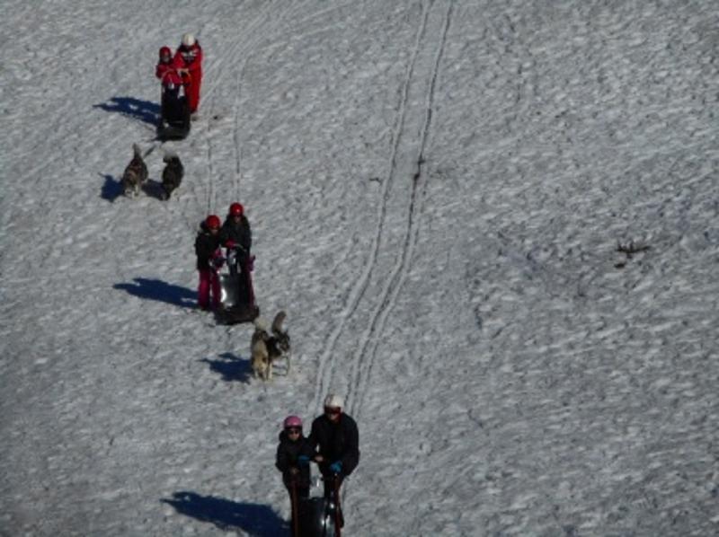 Les enfants de la colonie de vacances se font tirés sur la neige par les chiens de traineaux