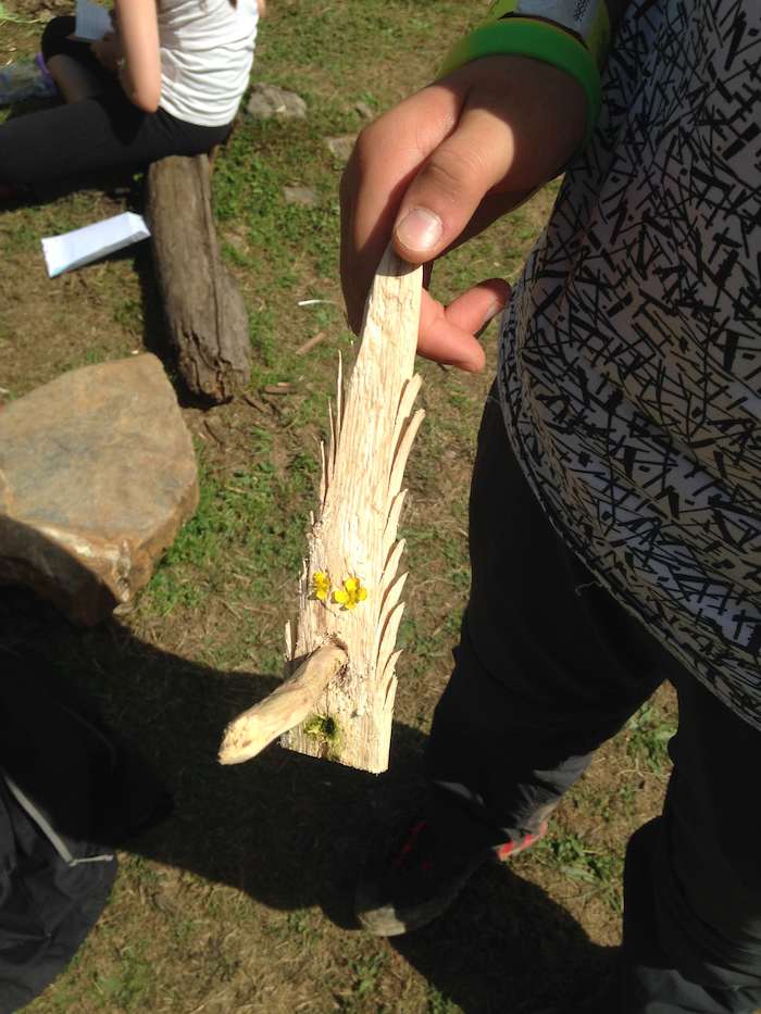 Un jeune montre sa sculpture de bois lors d'une colonie de vacance nature dans les Pyrénées