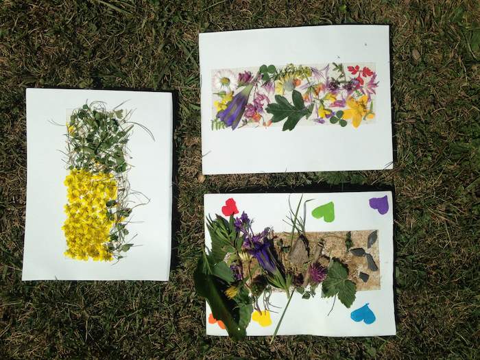 Fleurs comestibles posées sur des feuilles blanches  lors d'une colonie de vacances nature dans les Pyrénées