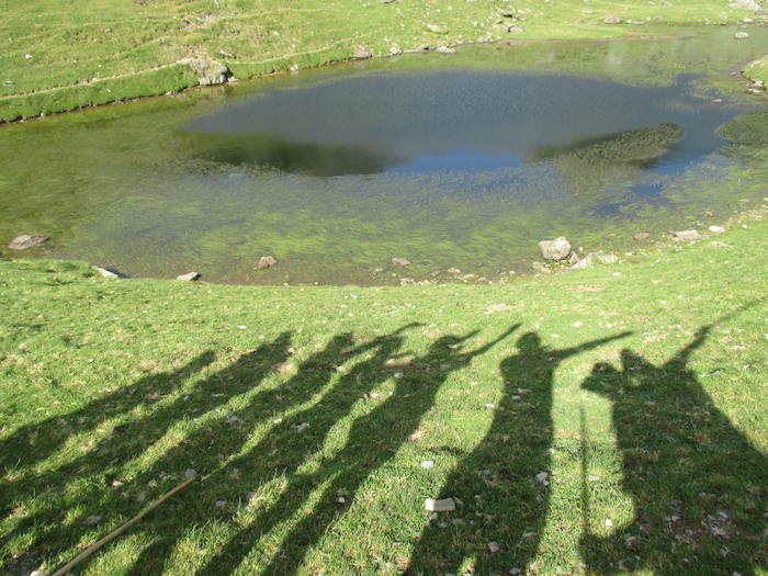 Des ombres se distinguent dans l'herbe  lors d'une colonie de vacances dans les Pyrénées.