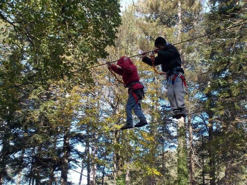 Deux enfants font de l'accrobranche en colonie de vacances occitanie