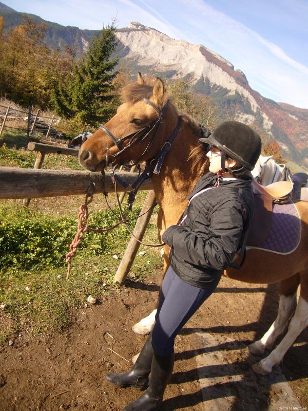 Cheval et cavalier lors d'une colonie de vacances équitation