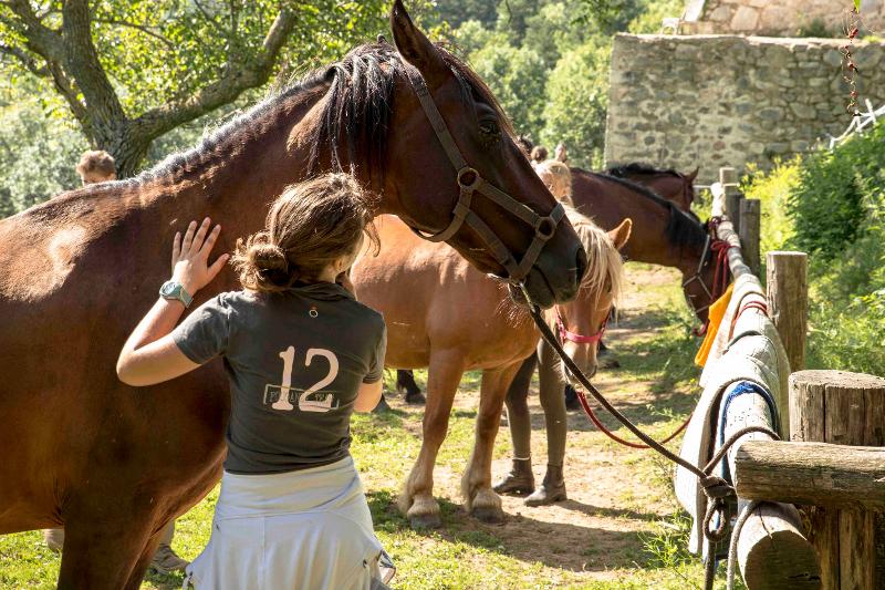 une ado caresse un cheval en colonie de vacances occitanie 