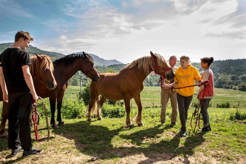 première session d'équitation pour ces jeunes en colonie de vacances occitanie 