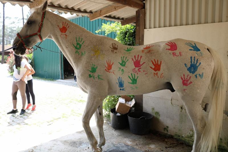 Cheval avec des mains en peinture sur sa robe pour un séjour linguistique artistique