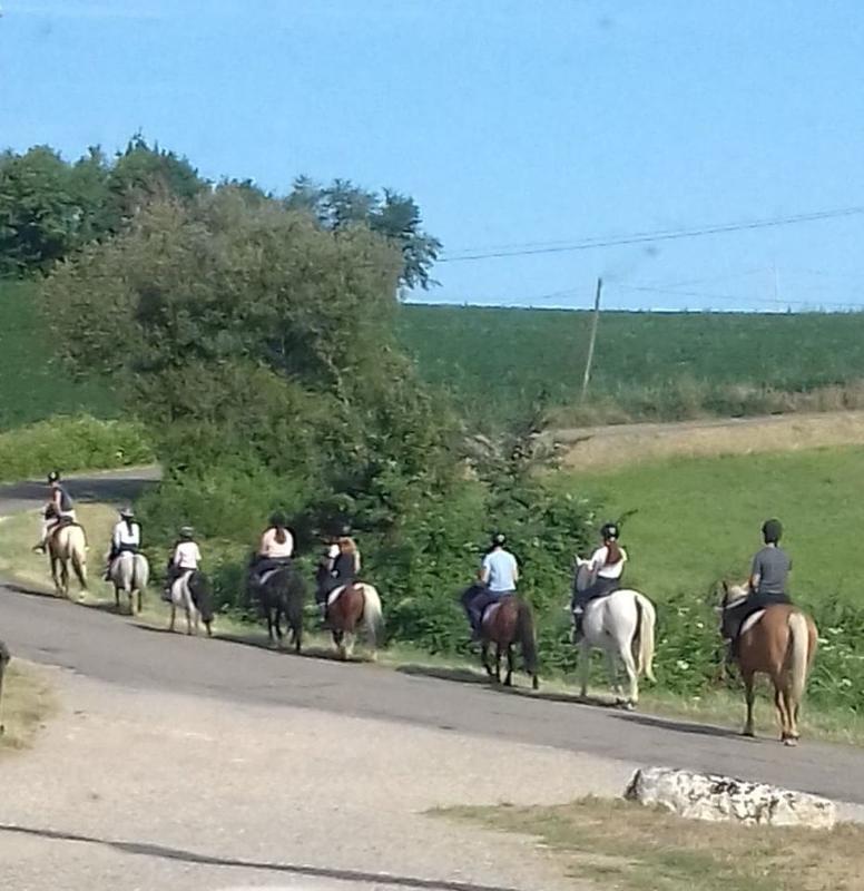 Un groupe de cavaliers suivent la route à cheval en colonie de vacances équitation