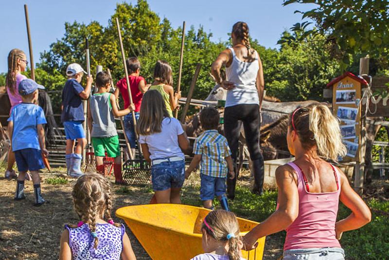 enfants lors d'une colonie de vacances ferme en rhone alpes