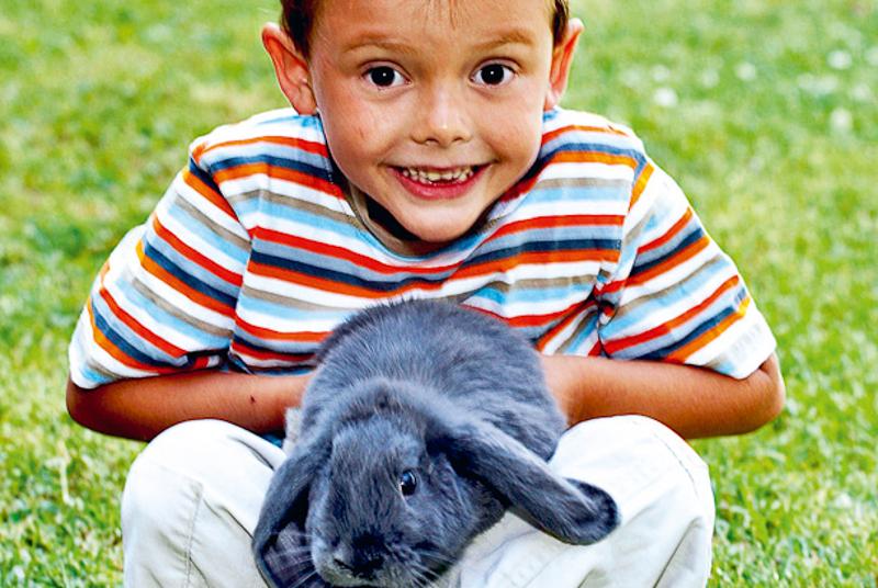 enfant avec un lapin lors d'une colonie vacances ferme 