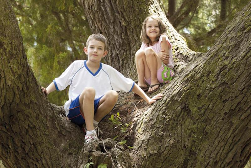 enfants s'amusent en colonie vacances ferme 
