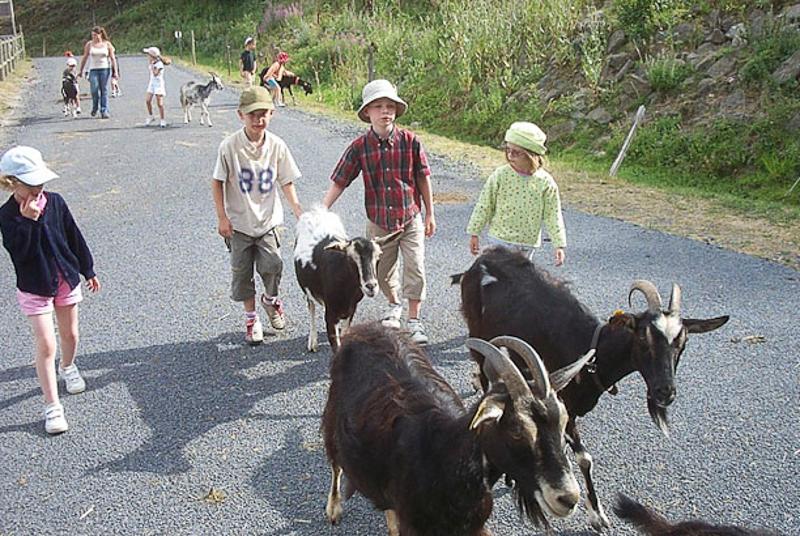 enfants avec des animaux en colonie vacances ferme