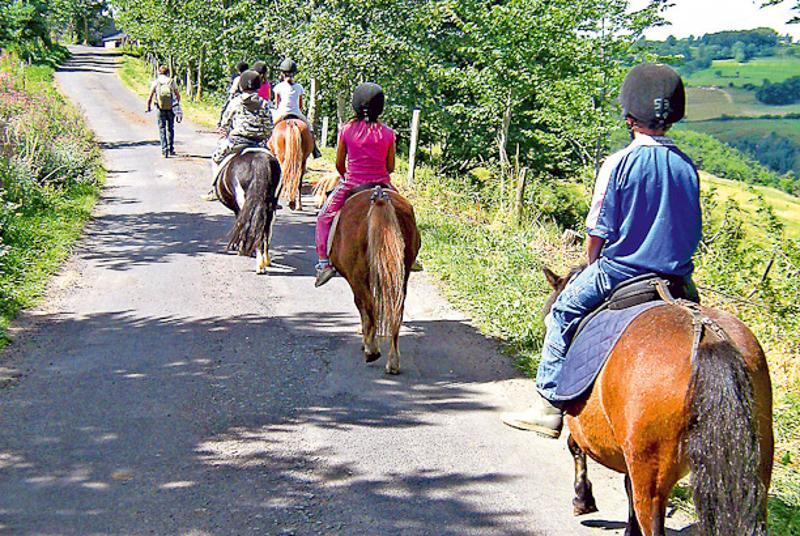 groupe qui fait du poney en camp enfant