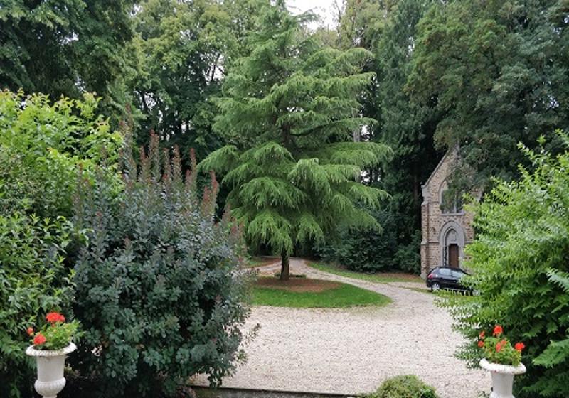 cours du chateau beaumont en colonie de vacances ille-et-vilaine