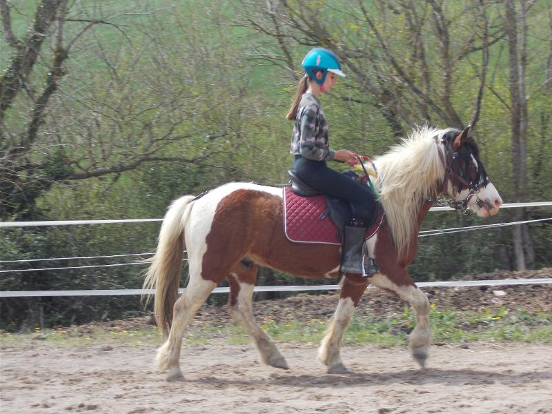 Une jeune fille monte à cheval dans le manège de la colonie de vacances passage gallop
