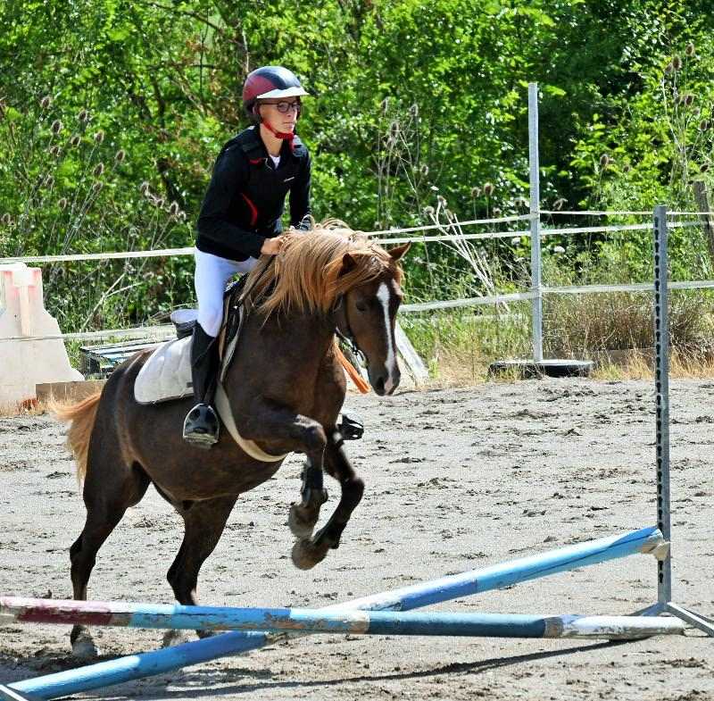 Un cheval et sa cavalière sautent un obstacle en colonie de vacances passage gallop
