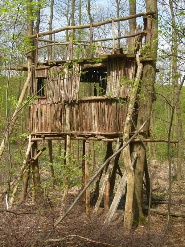 Une cabane en bois dans la forêt 