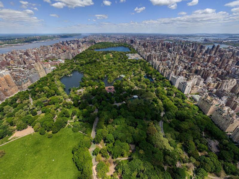 Pendant un séjour linguistique Miami et sur la côte Est, des jeunes s’émerveillent devant Central Park 
