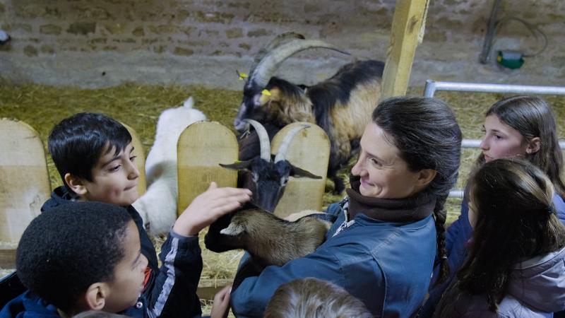 enfants avec des chèvres en colonie nature et découverte