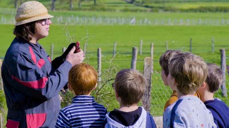 enfants avec une poule en séjour à la ferme nature et decouverte