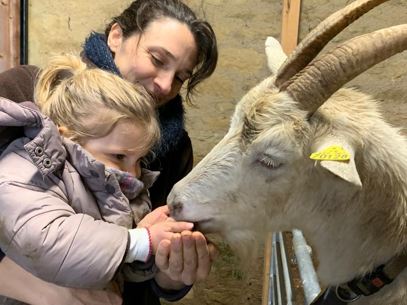 petite fille qui nourrit une chèvre lors d'une colo à la ferme