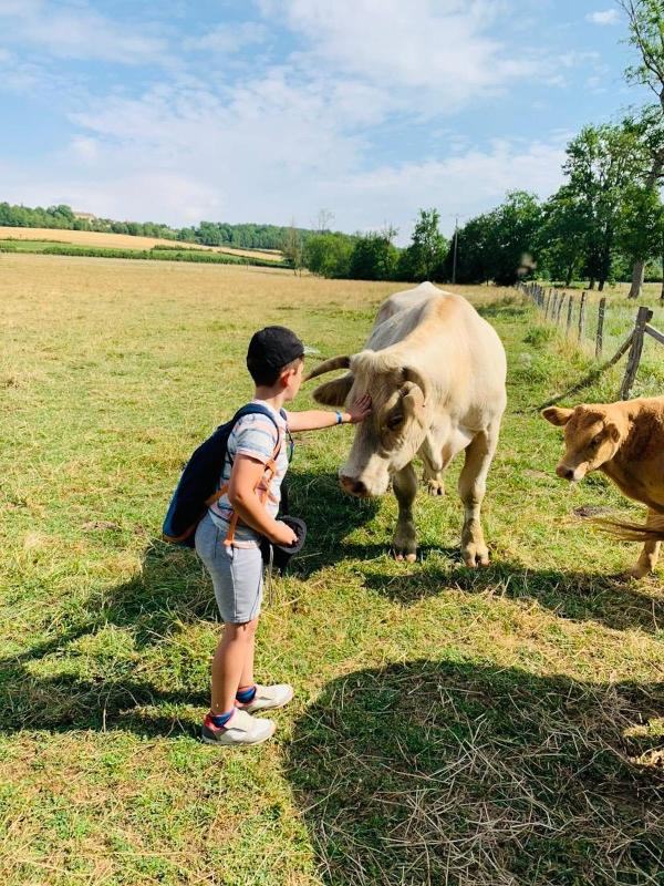 enfanst qui caresse une vache en colo à la ferme