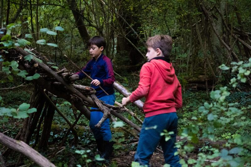 enfants qui construisent une cabane dans la forêt