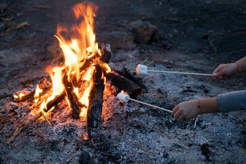 enfants qui font griller des chamallows dans le feu