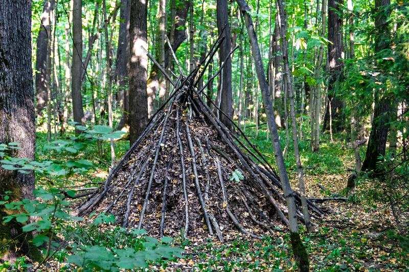 hutte en bois construite à la main par les jeunes de la colo