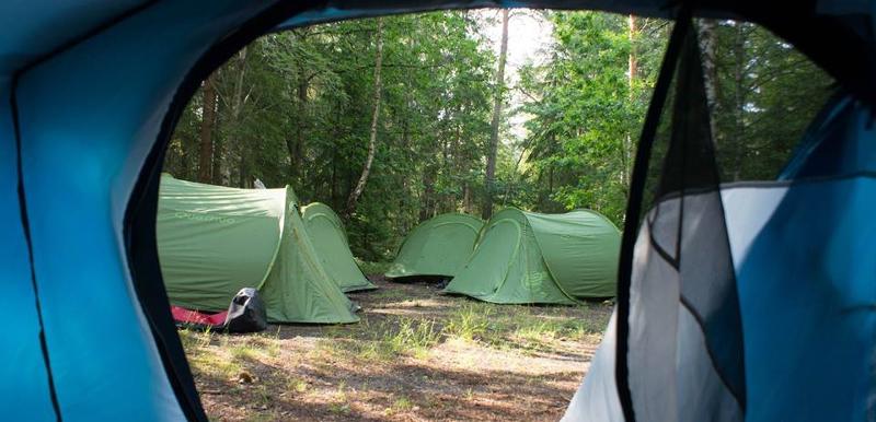 Vue sur les autres tentes dans la forêt, depuis l'intérieur d'une tente lors du camp itinérant en Suède