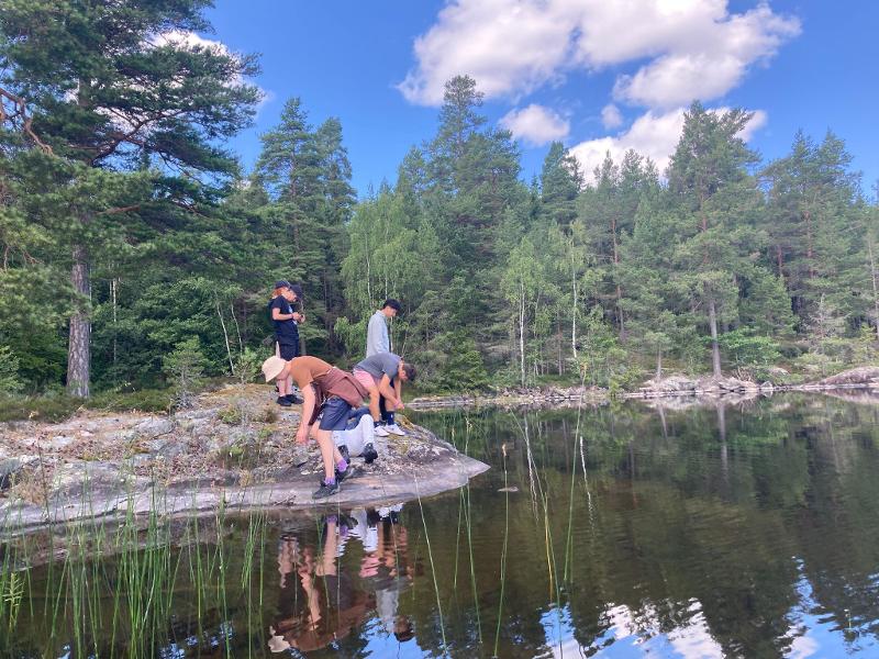 Jeunes sur la rive, à la lisière de la forêt pendant la colonie de vacances en Suède