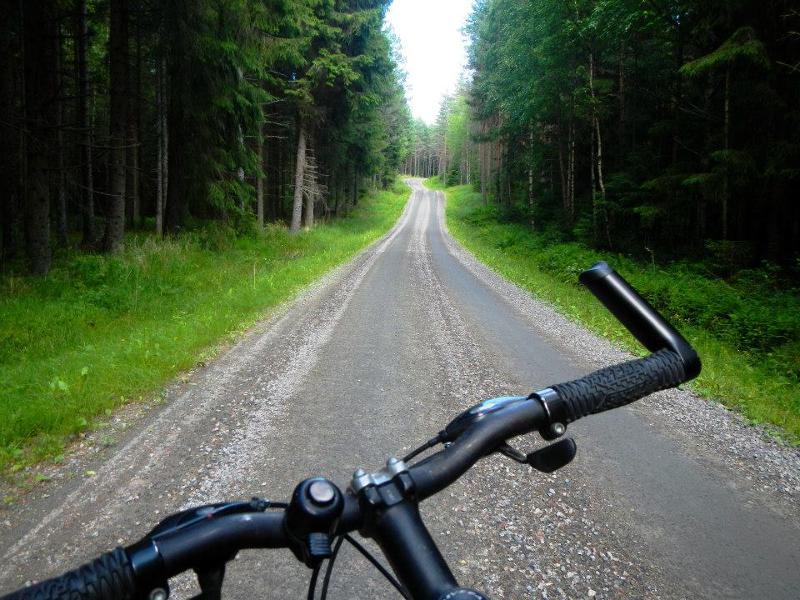 vue sur une route de forêt en vélo en colonie VTT
