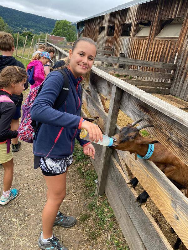 jeune en colo qui donne du lait à boire à une chèvre avec un biberon