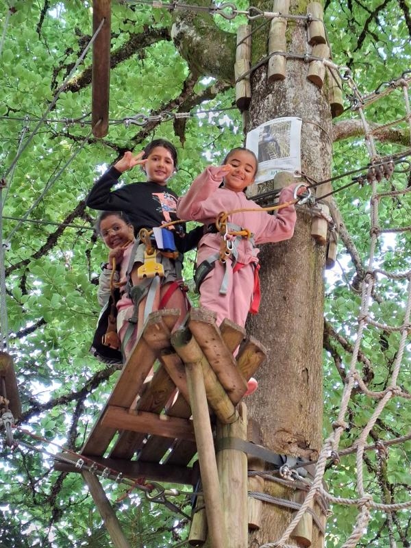 enfants qui font de l'accrobranche lors d'une colo aventure