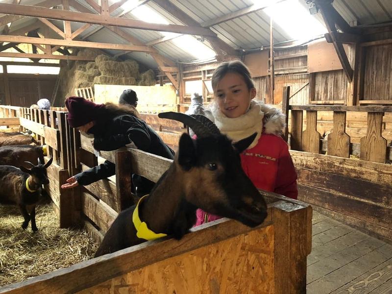 jeune fille avec une chèvre dans une colo ferme