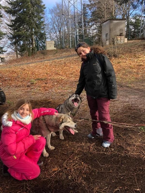 deux filles avec des huskies dans la forêt en colo
