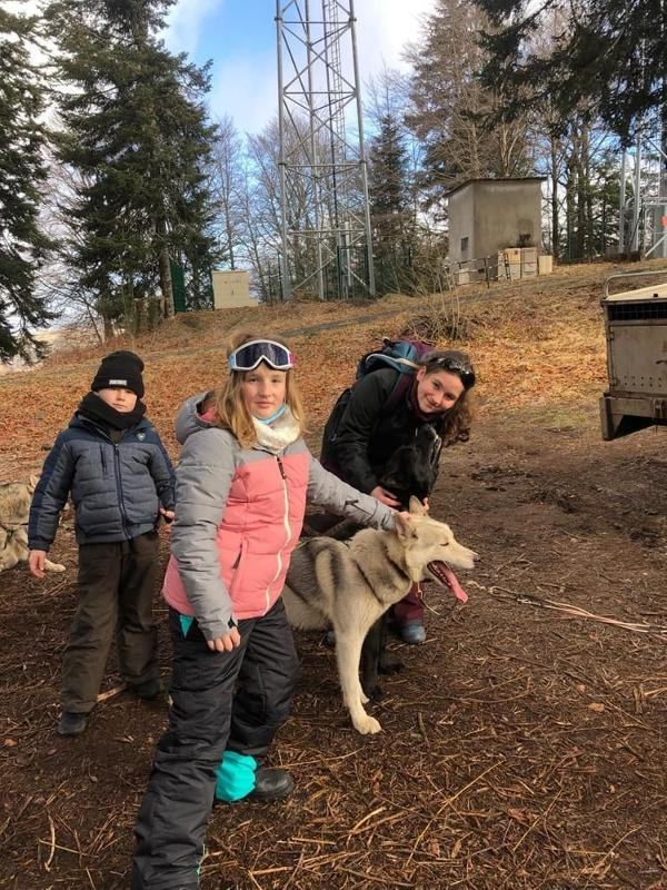jeune en été dans la montagne avec un husky lors d'une colo